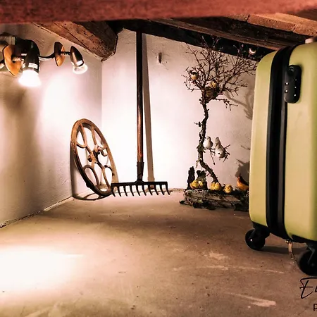 Lejlighed La Mi Casina Toscana Palaia